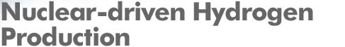 Nuclear-driven Hydrogen Production